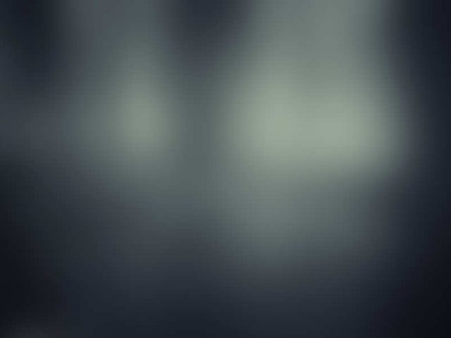 Lake in a dark forest with fog