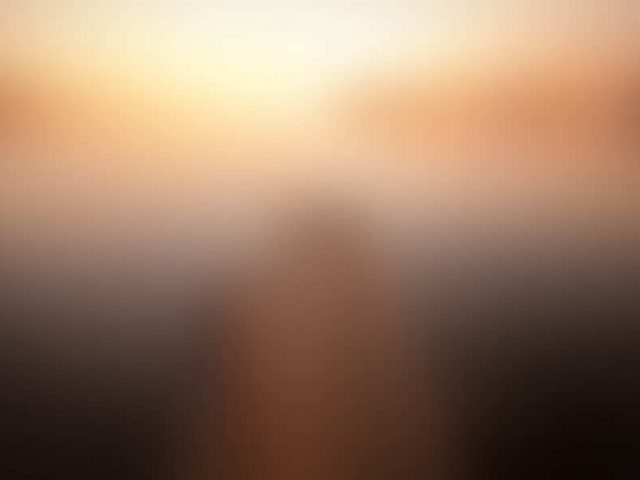 Autumnal foggy morning